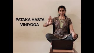 Pataka hasta viniyoga  Chitra Arvind [upl. by Ahsilram600]