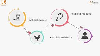 Phytogénique alternative prometteuse aux antibiotiques pour les volailles  Herbofloxin French [upl. by Ynnhoj]