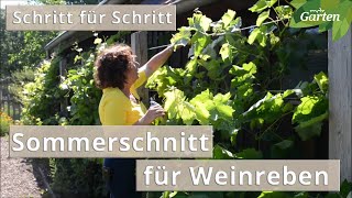 5 Minuten und Sie wissen wie Weinreben im Sommer geschnitten werden  MDR [upl. by Fisoi]