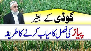 How to achieve successful onion crop without hand weeding  Crop Reformer [upl. by Amol]