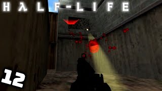 DRECKIGE GETARNTE SCHARFSCHÜTZEN und große EXPLOSIONEN 12  Half Life [upl. by Enerahs335]