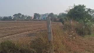 225 Acre Agriculture Land For Sale in Haryana  9255380380  farming [upl. by Ck]