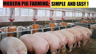 How To START A Successful PIG FARM Business   2022 [upl. by Constantino]