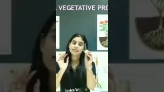 Vegetative propagation class 10th By Samridhi Maam PW  physicswallah shorts [upl. by Pearson]