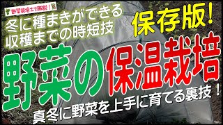 野菜の保温栽培（真冬に野菜を育てる裏技！真冬に種まきできて成長速度が2倍以上になる！） [upl. by Nawrocki]