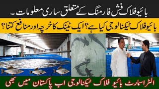 Fish Farming In Pakistan  Biofloc Fish Farming Complete Information practicalbioflocfishfarming [upl. by Lesirg963]