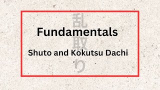 Fundamentals  Shuto and Kokutsu Dachi [upl. by Cosetta722]