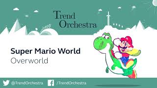 Overworld  Super Mario World  Orchestral Cover [upl. by Nahor295]