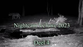 Nightcam Veluwe 2023 deel 4 wildlife movie [upl. by Adniram165]