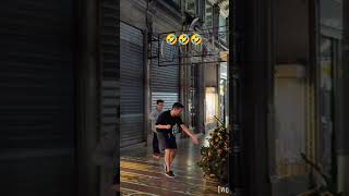 The Moving Tree Prank 🤣 fypage prank fypシ゚viral funny [upl. by Carrelli]