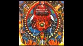 Full Album Praxis  Transmutation [upl. by Ojaras621]