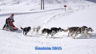 Schlittenhunderennen in Sportgastein 2015 Sony 4 K [upl. by Aicatan]