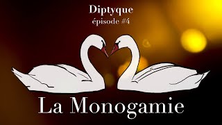 4  La monogamie 🦢 [upl. by Charmine]