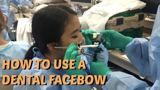 How To Use A Dental Facebow  Brittany Goes to Dental School [upl. by Euqinemod]