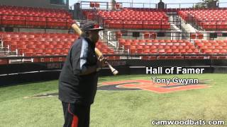 Tony Gwynn on Hitting [upl. by Selinski]