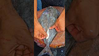 Fish cutting skills viralvideo seafood fishfry fish shots food trending new seafish big [upl. by Trixy]