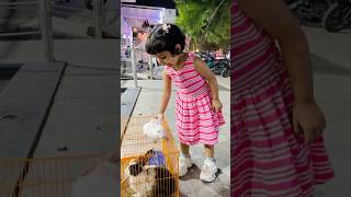 Kesa laga rabbit 🐇🐇🐇ytshorts cute [upl. by Johnathan172]