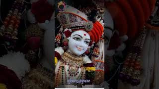 લટકાળા ઘનશ્યામ શૃંગાર દર્શન તા71224 swaminarayanshorts swaminarayan ghanshyam harikrushna [upl. by Ivatts566]