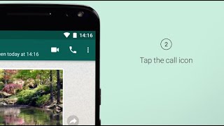 How to Make a Voice Call  WhatsApp [upl. by Flint654]