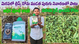 Dhanuka Lanevo Insecticide  Lanevo new insecticide  lanevo full details in telugu use in chilli [upl. by Ekralc]