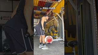 GUIA EJERCICIOS PARA ESPALDA gymtips espalda pullday dorsales gymgirl gymrat fitness gym [upl. by Jocko]