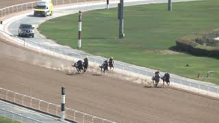 MEYDAN TRIALS 16102024 TRIAL 6 [upl. by Ataynik371]