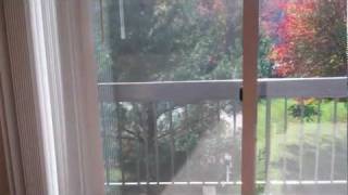 Waterside Apartments  Reston VA  2 Bedroom  2C [upl. by Jacqueline]