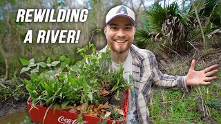 Rewilding A River On My Abandoned Land Native Plant Restoration [upl. by Obelia]