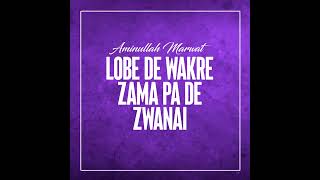 Lobe De Wakre Zama Pa De Zwanai [upl. by Lorola20]