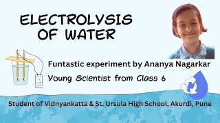 Funtastic Experiment  Electrolysis of water [upl. by Derag55]