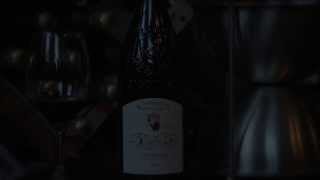 Gigondas Domaine Saint Gayan  Yapp Brothers One Minute Review [upl. by Arramat]