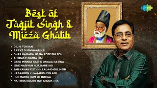 Best of Jagjit Singh and Miraza Ghalib  Dil Hi Toh Hai  Bas Ke Dushwaar Hai  Old Ghazal Songs [upl. by Dao]