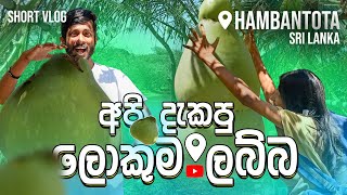 ජීවිතේට දැකපු ලොකුම ලබ්බ  Vlog  Farm Hambantota Sri Lanka  travel with wife [upl. by Luciana]