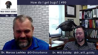 How Do I Get Bugs  Ep90 [upl. by Merola]