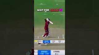 Mohammad shami takes revenge wicket 😈  shorts cricket [upl. by Schiffman]