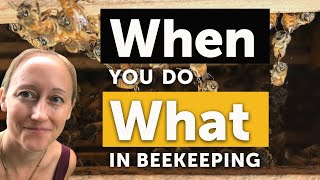 BEEKEEPING 101 WHEN TO DO EVERYTHING Feeding Harvesting Splitting Swarming amp MORE [upl. by Mcintyre]