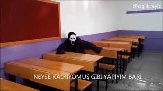 Çığlık Reyiz En güzel videoları [upl. by Kcirdlek]