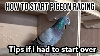 How to start pigeon racing  Tips if i had to start over  Racing pigeons 2024 [upl. by West]