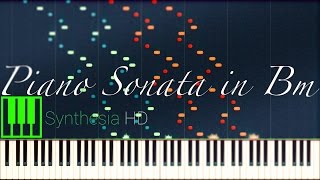 Liszt Piano Sonata in B minor [upl. by Forta]