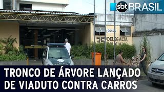 Suspeito de lançar troncos de viaduto é preso no Rio de Janeiro  SBT Brasil 221123 [upl. by Gaelan279]