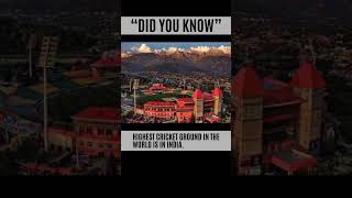 cricket cricketground amazingfacts didyouknowfacts youtubeshorts india mindfulacumen [upl. by Asquith992]