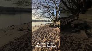 Montrose Scotland a beautiful spot to chill [upl. by Assilam91]