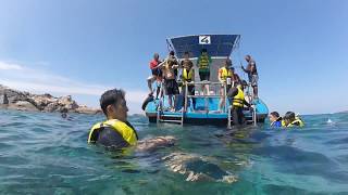 Pulau Redang Snorkeling [upl. by Niram]