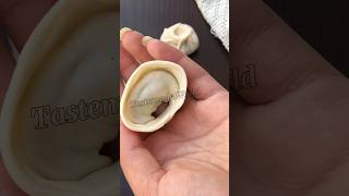 Wonton Dumpling Wrapping shorts trending dumplings [upl. by Camilo]