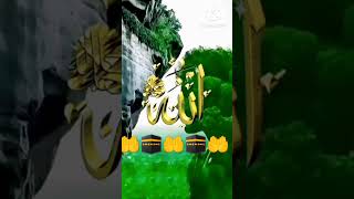 islamicvideoislamicshortsislamicstatusweddingexploreizmirmotivationshortsviralshortsvideo [upl. by Ojimmas]