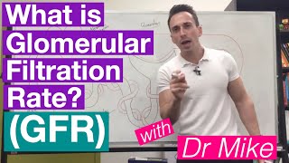 Glomerular Filtration Rate GFR  Renal System [upl. by Kelsi]