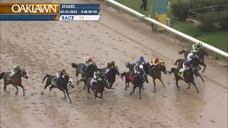 Oaklawn Park Feb 3 2024 The 59th Running of Southwest Stakes [upl. by Dagley364]