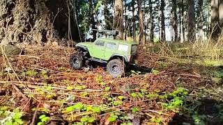 The Grass is Wet DSPower Metal waterproof Servo Scx24 Trail FUN [upl. by Alleinnad904]