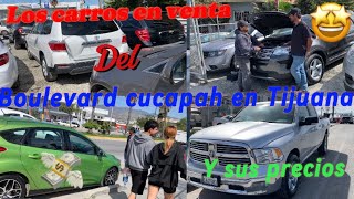 Los carros en venta del Boulevard cucapah en Tijuana y sus precios 💶🤩💸😮💰🤔 [upl. by Rennob]