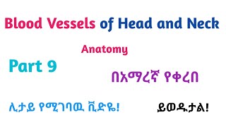 Anatomy ǀ Blood VesselsSupply of Head and Neck Interesting Video with Amharic Speech Part 9 [upl. by Alyak795]